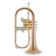 Флюгельгорн Roy Benson FH-302G Bb-Flugelhorn