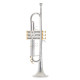 Труба Roy Benson Charli Green Signature Bb-Trumpet