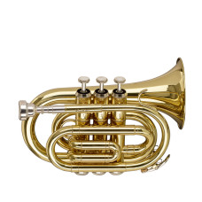 STAGG P WS-TR245S Профессиональная труба Си-бемоль