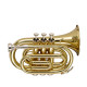 STAGG P WS-TR245S Профессиональная труба Си-бемоль