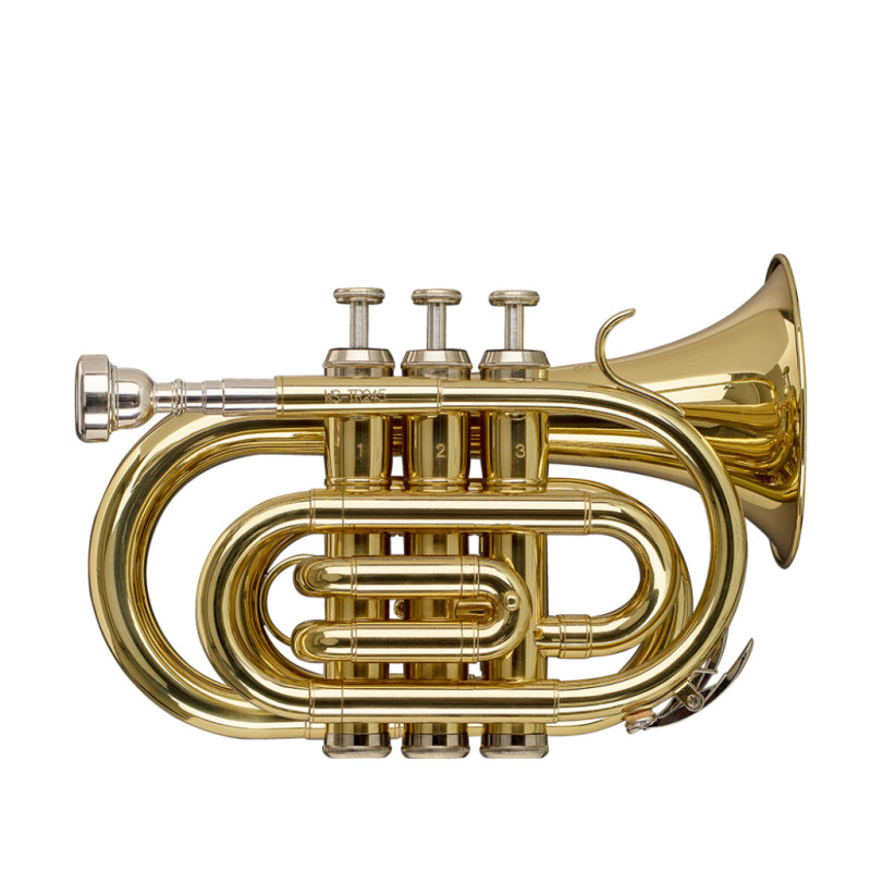 STAGG P WS-TR245S Профессиональная труба Си-бемоль