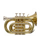 STAGG P WS-TR245S Профессиональная труба Си-бемоль
