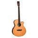 TANGLEWOOD TRS4 CE Электроакустическая гитара