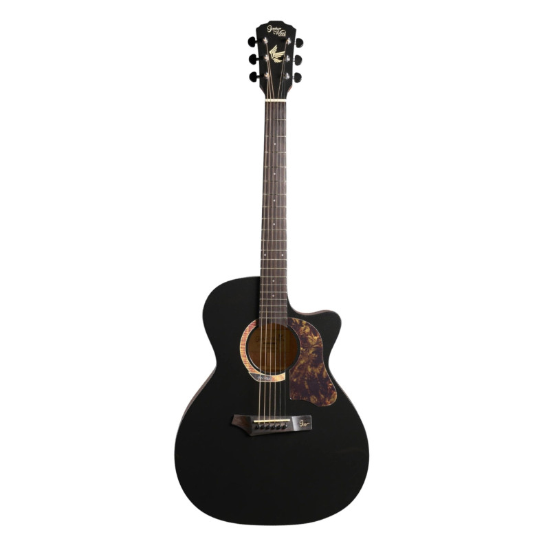 GOPHERWOOD I232RC Midnight Dust Акустична гітара