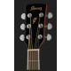 IBANEZ PF15ECE NT Гітара електроакустична