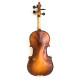 TV3/4 P