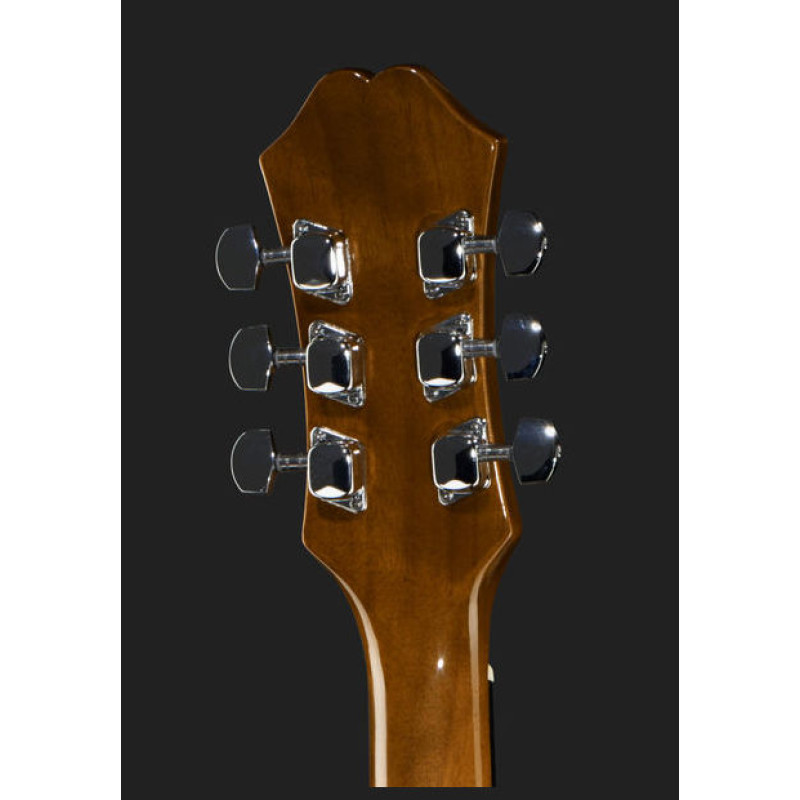 Гітара акустична EPIPHONE DR-100 NT