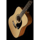 Гітара акустична EPIPHONE DR-100 NT