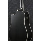 IBANEZ AW84CE WK Гітара електроакустична