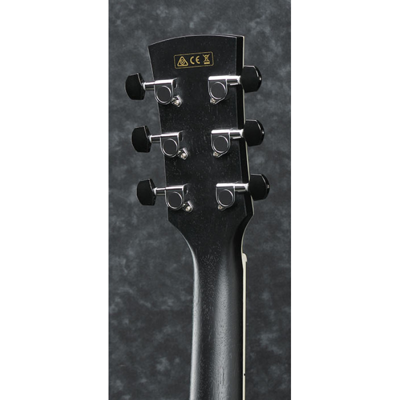 IBANEZ AW84CE WK Гітара електроакустична