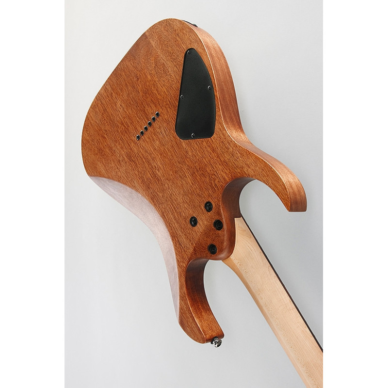IBANEZ RG421 MOL Електрогітара
