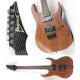 IBANEZ RG421 MOL Електрогітара
