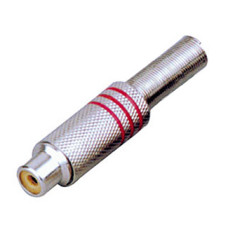CD115