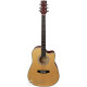 PARKSONS JB-4111C NAT Акустическая гитара