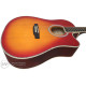 PARKSONS JB-4111C SB Акустическая гитара