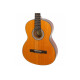 EPIPHONE PRO-1 CLASSIC 1.75 Гітара класична