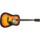 MAXTONE WGC-4010G/SB Акустична гітара