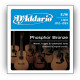 D'ADDARIO EJ16 PHOSPHOR BRONZE REGULAR LIGHT (12-53) Струни для акустичної гітари