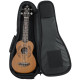 GATOR GB-4G-UKE TEN Tenor Ukulele Gig Bag Чохол для укулеле тенор