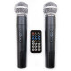 HL-AUDIO USK15A BT/USB Акустична система