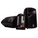 STAGEPAS400i