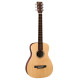 MARTIN 11LX1E Акустическая гитара