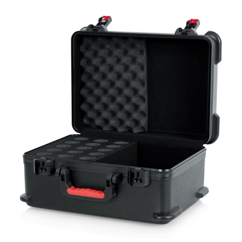 GTSA-MIC15